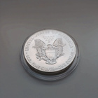 American Eagle 2013 1 oz - pikkukuva 2