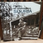 Niilo Suojoki - taidemaalari ja rakentaja - pikkukuva 1