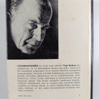Yrjö Kokko : Täydennysmies - pikkukuva 2