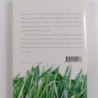 Sari Malkamäki : Sunnuntaina kahdelta : novelleja - pikkukuva 2
