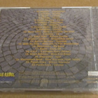 United spirit of punk cd muoveissa punk oi ska - pikkukuva 2