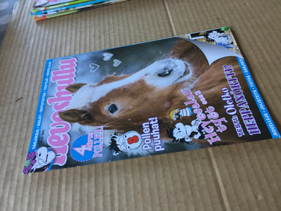 HEVOSHULLU 5/2019 HYVÄ