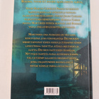 Simon Scarrow : Gladiaattori : katutaistelija - pikkukuva 2