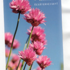 °°AURINKOISET KESÄTERVEISET!° -KORTTI /(Kulkematon) KARTO - pikkukuva 1