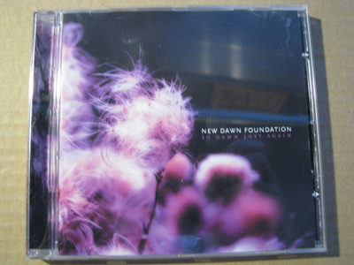 NEW DAWN FOUNDATION - So Damn Lost Again