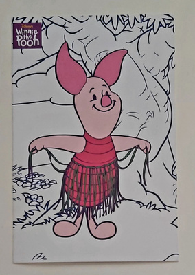 "NASU"-KULKEMATON POSTIKORTTI