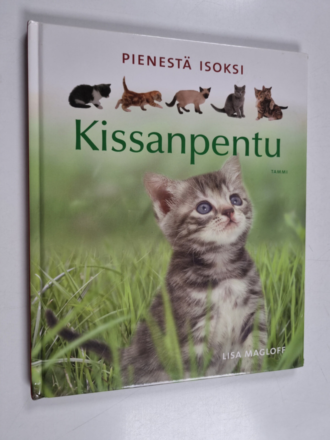 Lisa Magloff : Pienestä isoksi : kissanpentu