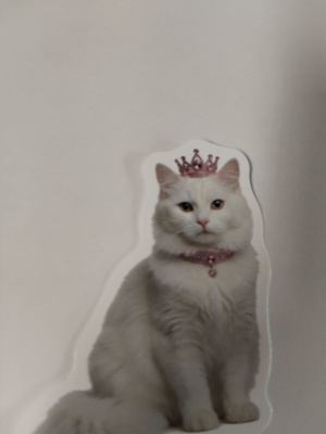 Kissa tarra.
