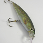 Rapala X-Rap 10cm - pikkukuva 1