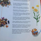LESLEY BREMNESS: MONIPUOLISET YRTIT - pikkukuva 2