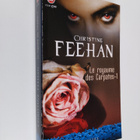 Christine Feehan : Le royaume des Carpates, Tome 1 - pikkukuva 1