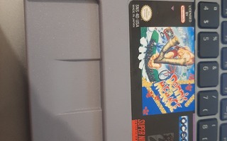 SNES Dennis The Menace USA