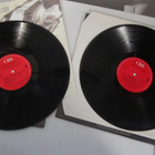 Terence Trent D'Arby 12" 1987  ja LP 1989 - pikkukuva 3