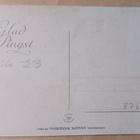 H. Selldin: Nuoripari helluntaina heilastamassa, 1923 - pikkukuva 2