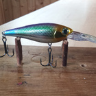 Storm Smash Shad Floating Räminällä 6cm - pikkukuva 1