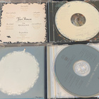 Tori Amos x 2: Under The Pink (1994) ja The Beekeeper (2005) - pikkukuva 3