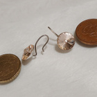 Swarovski? kristalli korvakorut - pikkukuva 3