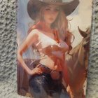 PELTIKYLTTI COWGIRL WILD WEST 20X30CM *UUSI!* - pikkukuva 2