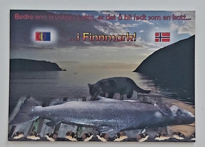 "FINNMARK, NORJA"-KULKEMATON POSTIKORTTI