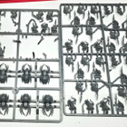 WHFB - Battle for Skull Pass Starter Set - pikkukuva 5