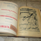 Työläisnaisten Urheilulehti 1921 -1924 kirja - pikkukuva 3