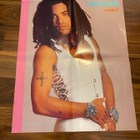 Lenny Kravitz juliste - pikkukuva 1