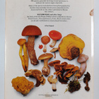 Roger Phillips : Mushrooms and other fungi of Great Brita... - pikkukuva 2