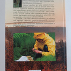 Kasvit muuttuvassa metsäluonnossa - pikkukuva 2