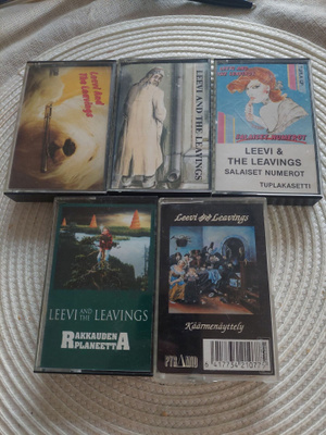 LEEVI AND THE LEAVINGS