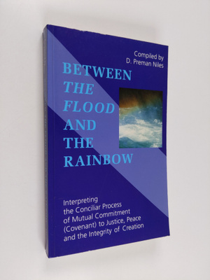 Between the flood and the rainbow : interpreting the conc...