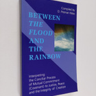 Between the flood and the rainbow : interpreting the conc... - pikkukuva 1