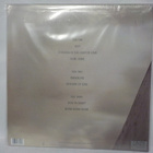 NEIL YOUNG WITH CRAZY HORSE - TOAST UUSI "SS" 2LP - pikkukuva 2