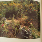 Les Jardins de Giverny  - Stephen Shore kuvateos - pikkukuva 3