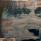 IGGY POP: BRICK BY BRICK - pikkukuva 2