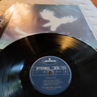 LP Steve Miller band - pikkukuva 3