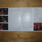 OBLIVIANS - BEST OF THE WORST ( 93-97 ) 2xlp - pikkukuva 3