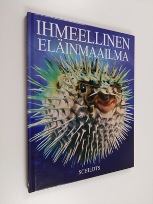 Jacqui Bailey : Ihmeellinen eläinmaailma