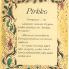 kortti ** Etunimi Tanja Niina Eino - eril. loka-marraskuulta - pikkukuva 1