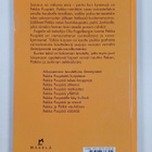 Fogeli : Pekka Puupää sairastaa - pikkukuva 2