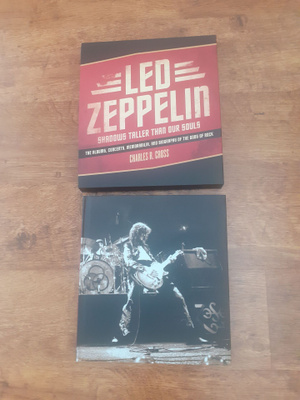 Led Zeppelin Shadows Taller Than Our Souls