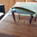 6cm syvännevaappu - pikkukuva 2