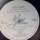 HANS WILHELM LÖWGREN & MIKAEL ÅKERMAN :: MÅNVAKA :: VINYL LP - pikkukuva 4