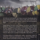 Bernard Cornwell: Uhtred 9 Myrskyn soturit (kirjastopoisto) - pikkukuva 2