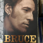 Carlin: Bruce Springsteen. 2012. - pikkukuva 1