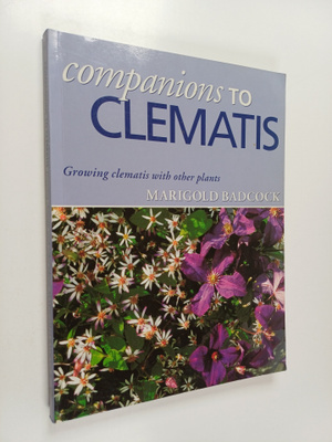 Companions to clematis