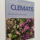 Companions to clematis - pikkukuva 1