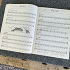 Vi Spelar Viol - pikkukuva 5