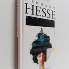 Hermann Hesse : Gertrud : romaani - pikkukuva 1