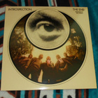 THE END ~ Introspection ~ LP - pikkukuva 1