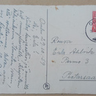 Kimppu vaaleanpunaisia neilikoita, onnittelupk, p. 1959 - pikkukuva 2